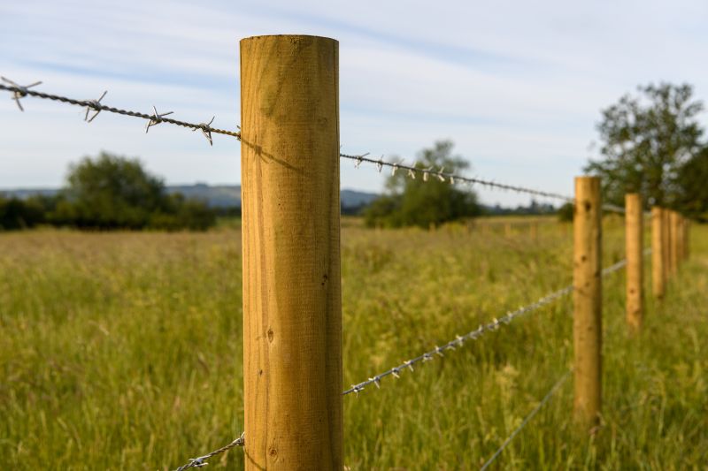 Barb Wire Fence Installation in Spring