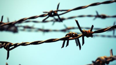 Barbed Wire Fence is Durable