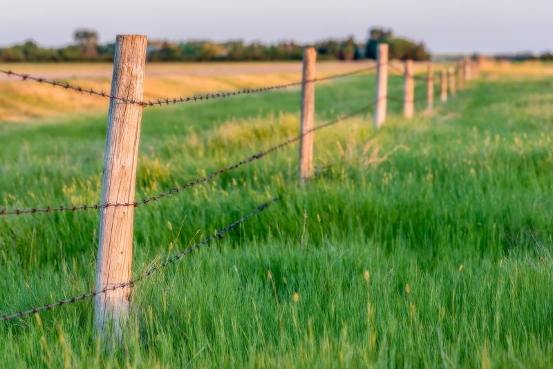 Barb Wire Fence Installation Tips and Insights
